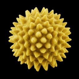 Bacteria