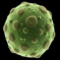 Pollen