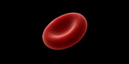 Red Blood Cell